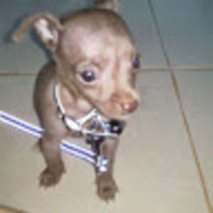 Meet your Posher, Geraldy